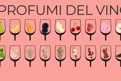 I profumi del vino: bicchieri con frutta, fiori, erbe e spezie che evocano i profumi dei vitigni aromatici.