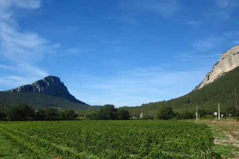 Vigneti rigogliosi ai piedi delle imponenti montagne di Saint-Loup, sotto un cielo azzurro con nuvole sottili.