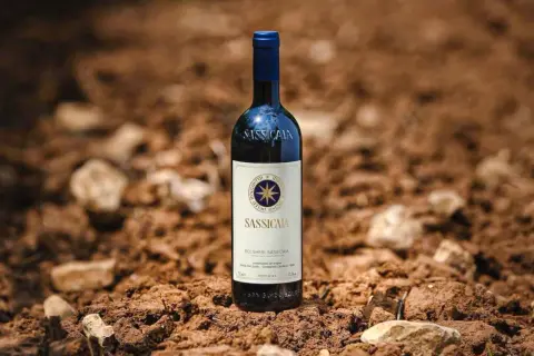 Bottiglia di Sassicaia su terreno arido, evocando la sua origine e la terra che nutre questo vino iconico.