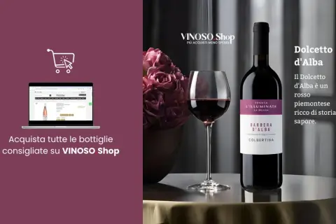 Un calice di Dolcetto d'Alba, ricco di storia e sapore, pronto per i tuoi abbinamenti perfetti. Acquista su VINOSO Shop.