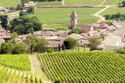 Vigneti rigogliosi circondano un villaggio con una chiesa a Pouilly.