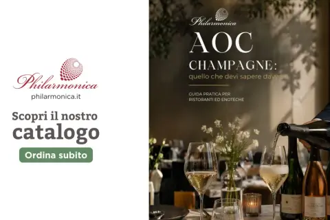Guida pratica per ristoranti ed enoteche sull'AOC Champagne. Scopri il nostro catalogo e ordina subito.