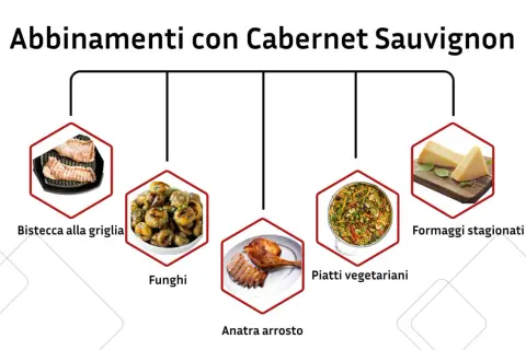 Abbinamenti con Cabernet Sauvignon: bistecca alla griglia, funghi, anatra arrosto, piatti vegetariani e formaggi stagionati.