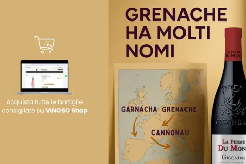Il vino Grenache ha molti nomi: Garnacha, Cannonau. Scopri le bottiglie consigliate su VINOSO.Shop.