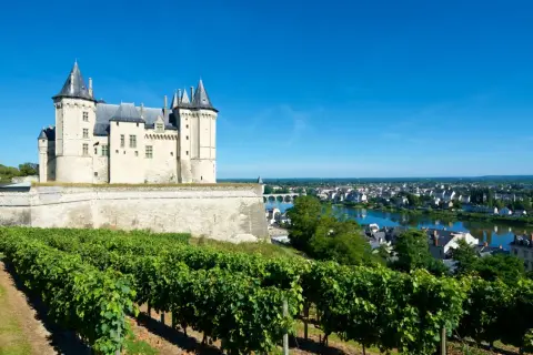 Castello medievale su una collina con vigneti rigogliosi in primo piano, con vista sulla città e sul fiume. Un paesaggio da Vouvray.
