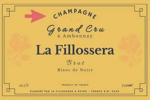 Etichetta Champagne La Fillossera Grand Cru Brut Blanc de Noirs. Scopri i diversi tipi di champagne e i loro nomi.