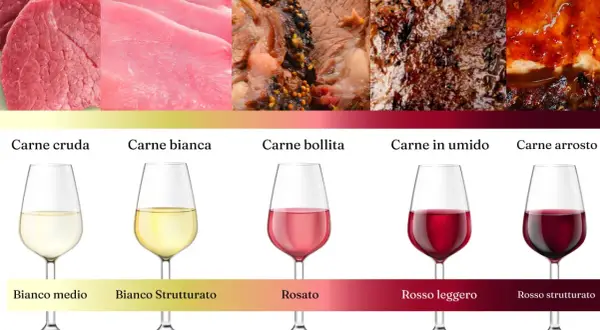 Abbinamenti ideali: carne cruda e bianca con bianchi, carne bollita con rosato, carne in umido e arrosto con vino rosso per carne.