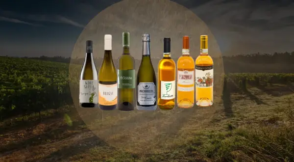 Selezione di pregiati vini bianchi del Friuli, tra cui Sauvignon, Chardonnay e Prosecco, immersi in un paesaggio di vigneti al tramonto.