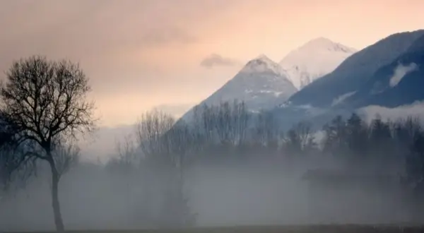 Nebbia mattutina in Valtellina, con montagne innevate sullo sfondo e un albero spoglio in primo piano. Ideale per gustare i vini Valtellina.