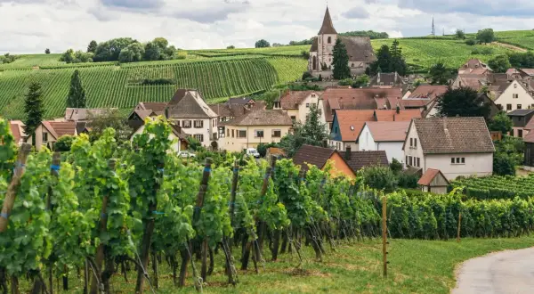 Un villaggio con un campanile svetta tra dolci colline ricoperte di vigneti, un paesaggio che evoca la bellezza di dove si trova la Borgogna.