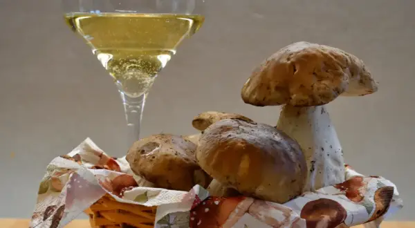 Un bicchiere di vino frizzante, perfetto vino da abbinare ai funghi porcini appena raccolti in un cestino.