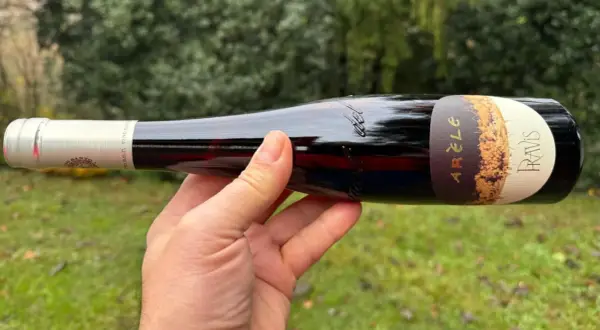 Mano che tiene una bottiglia di vino rosso, etichetta "Arèle Pravis", uno dei vini trentini famosi.