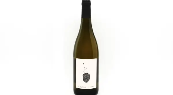 Bottiglia di vino bianco con etichetta artistica raffigurante un germoglio su un sasso. Un grechetto gentile che porta con sé la forza della terra.