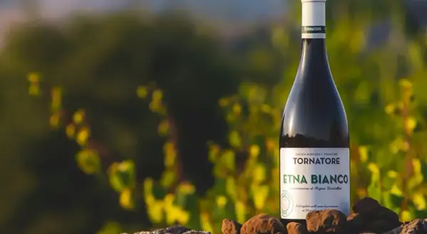 Bottiglia di Etna Bianco, uno dei pregiati vini Sicilia, su rocce vulcaniche con vigneti sullo sfondo.