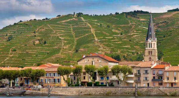 Vigneti terrazzati sul colle dietro un villaggio sul fiume Rodano, dove si produce il famoso cotes du rhone vino.