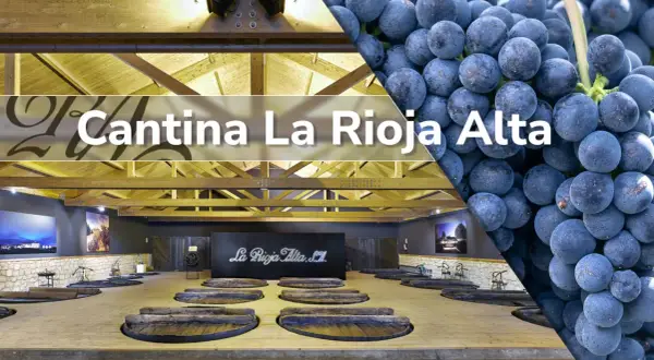 Cantina La Rioja Alta: un viaggio tra i migliori vini della Rioja, dall'uva al calice.