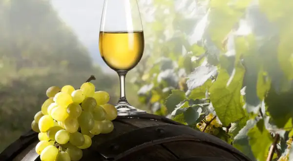 Calice di vino bianco dorato e grappolo d'uva su una botte di legno, con vigneti sullo sfondo. Un assaggio di asprinio di Aversa.