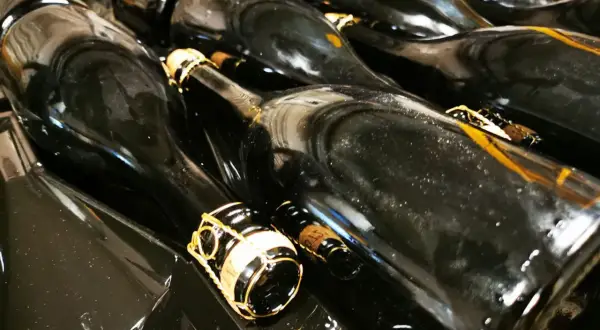 Bottiglie di vino scuro, pronte per la sboccatura. Le gabbie dorate sui tappi promettono bollicine.