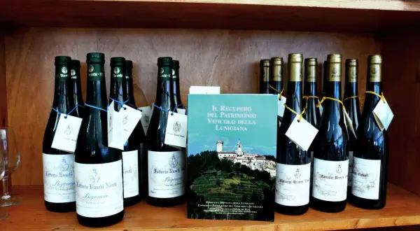 Bottiglie di vino con etichette bianche e blu, e un libro sul recupero viticolo della Lunigiana. I **colli di Luni** sono rappresentati sullo sfondo del libro.