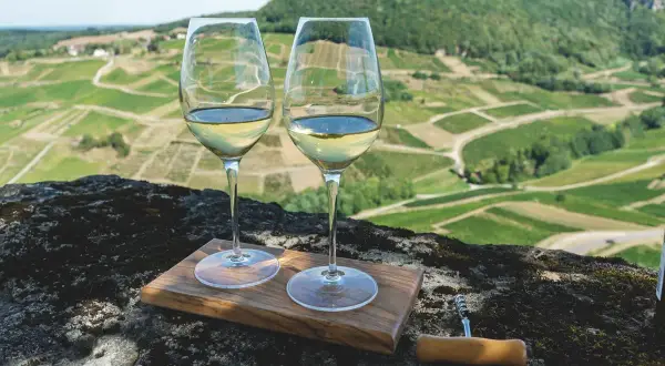Due calici di vin jaune dorato, su un tagliere di legno, con un paesaggio di vigneti a terrazze sullo sfondo.