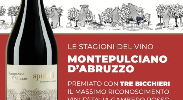 Bottiglia di Montepulciano d'Abruzzo, vino premiato con Tre Bicchieri Gambero Rosso. L'etichetta mostra orsi che lavorano nei vigneti.