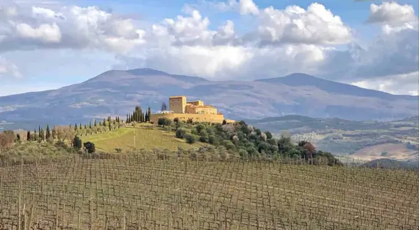 Vigneti di brunello vitigno in Toscana, con un castello in collina e montagne sullo sfondo.