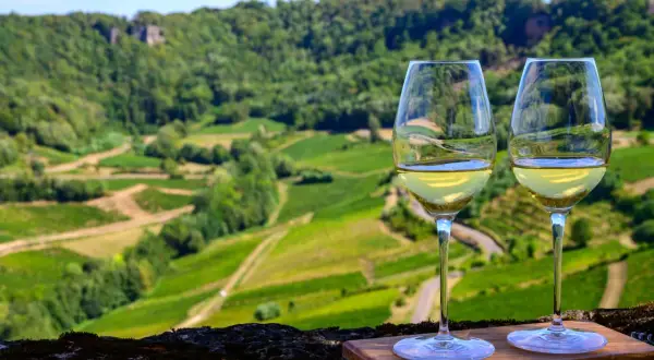 Due calici di vino bianco brillano con il paesaggio viticolo del Jura sullo sfondo.