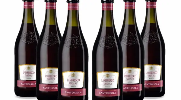 Sei bottiglie di Lambrusco Santorsola, pronte per essere stappate. Il lambrusco è frizzante, perfetto per ogni occasione.