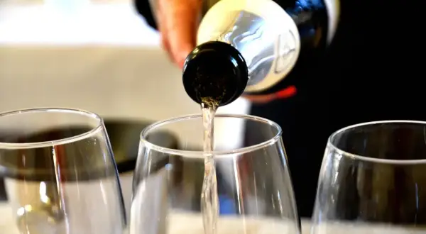 Versando vino bianco nei calici, un'anteprima dei sapori dei colli piacentini.
