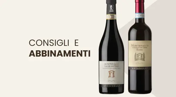 Due bottiglie di vino Antonelli, Montefalco Sagrantino e Montefalco Rosso, eccellenze DOCG Umbria, pronte per consigli e abbinamenti.