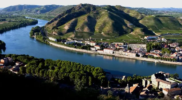 Villaggi pittoreschi lungo il Rodano, con vigneti terrazzati che salgono sui pendii verdi. Un fiume serpeggia tra i borghi, evocando l'atmosfera dei Cotes du Rhone Villages.
