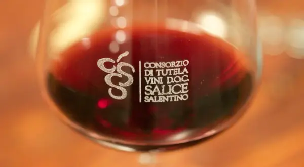 Close-up of a wine glass filled with red wine, showing the "Consorzio di Tutela Vini D.O.C. Salice Salentino" logo.