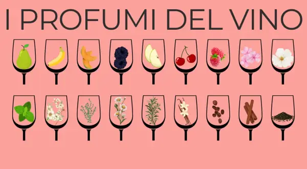 I profumi del vino: bicchieri con frutta, fiori, erbe e spezie che evocano i profumi dei vitigni aromatici.