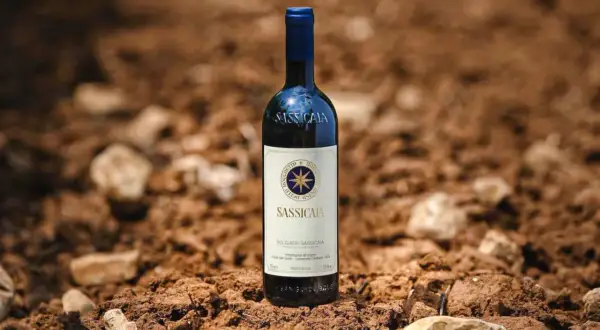 Bottiglia di Sassicaia su terreno arido, evocando la sua origine e la terra che nutre questo vino iconico.