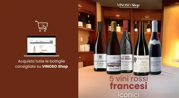 Cinque iconici migliori vini rossi francesi in esposizione, con un invito all'acquisto su VINOSO Shop.
