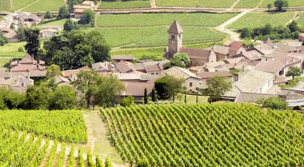 Vigneti rigogliosi circondano un villaggio con una chiesa a Pouilly.