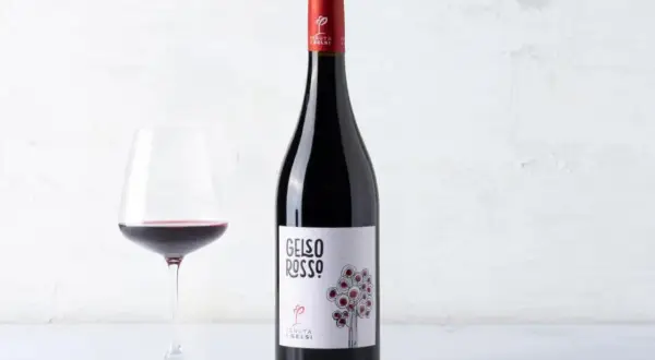 A bottle of red wine and a glass of red wine on a white surface.
