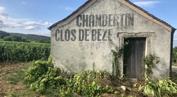 Vecchio casotto in pietra con scritta "CHAMBERTIN CLOS DE BEZE" sbiadita, circondato da vigneti rigogliosi sotto un cielo azzurro.
