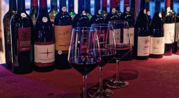 Degustazione di vini rossi, tra cui Teroldego Rotaliano, provenienti dal Trentino Alto Adige. Le bottiglie sono allineate, con tre calici pieni in primo piano.