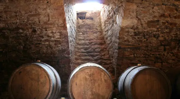 Cantine in pietra con botti di legno, un raggio di luce illumina la scala. Un'atmosfera che evoca il **Rodano, Francia**, e i suoi vini pregiati.