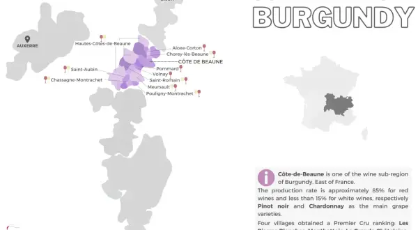 Mappa della Côte de Beaune, regione vinicola della Borgogna, con i villaggi principali evidenziati.