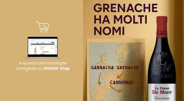 Il vino Grenache ha molti nomi: Garnacha, Cannonau. Scopri le bottiglie consigliate su VINOSO.Shop.