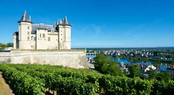 Castello medievale su una collina con vigneti rigogliosi in primo piano, con vista sulla città e sul fiume. Un paesaggio da Vouvray.