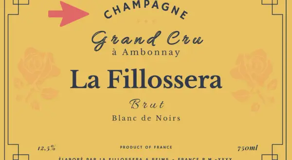 Etichetta Champagne La Fillossera Grand Cru Brut Blanc de Noirs. Scopri i diversi tipi di champagne e i loro nomi.