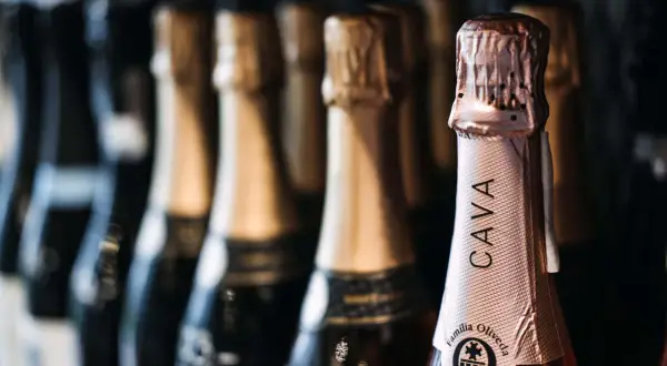 Bottiglie di cava spagnolo in fila. La bottiglia in primo piano mostra l'etichetta "CAVA Familia Oliveda".