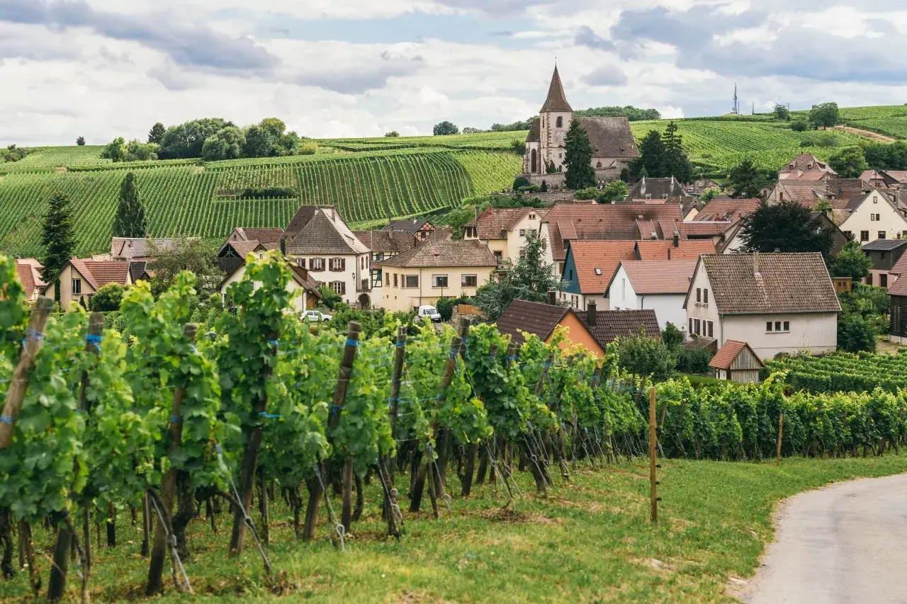 Un villaggio con un campanile svetta tra dolci colline ricoperte di vigneti, un paesaggio che evoca la bellezza di dove si trova la Borgogna.