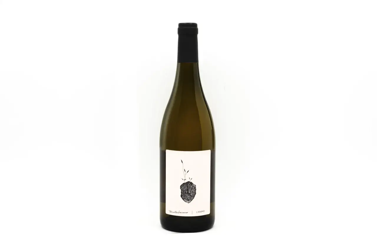 Bottiglia di vino bianco con etichetta artistica raffigurante un germoglio su un sasso. Un grechetto gentile che porta con sé la forza della terra.