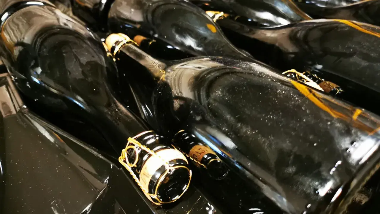 Bottiglie di vino scuro, pronte per la sboccatura. Le gabbie dorate sui tappi promettono bollicine.