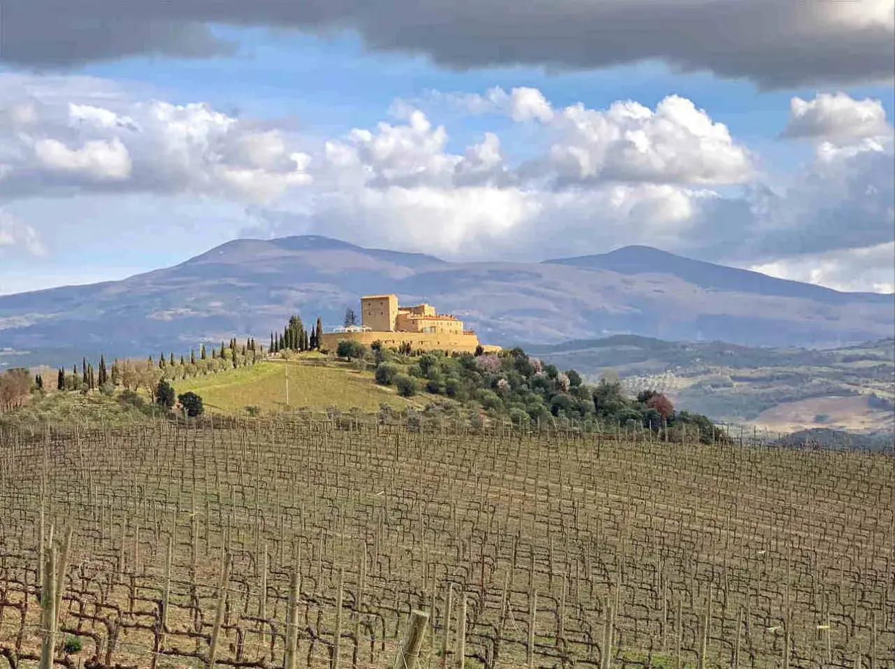 Vigneti di brunello vitigno in Toscana, con un castello in collina e montagne sullo sfondo.