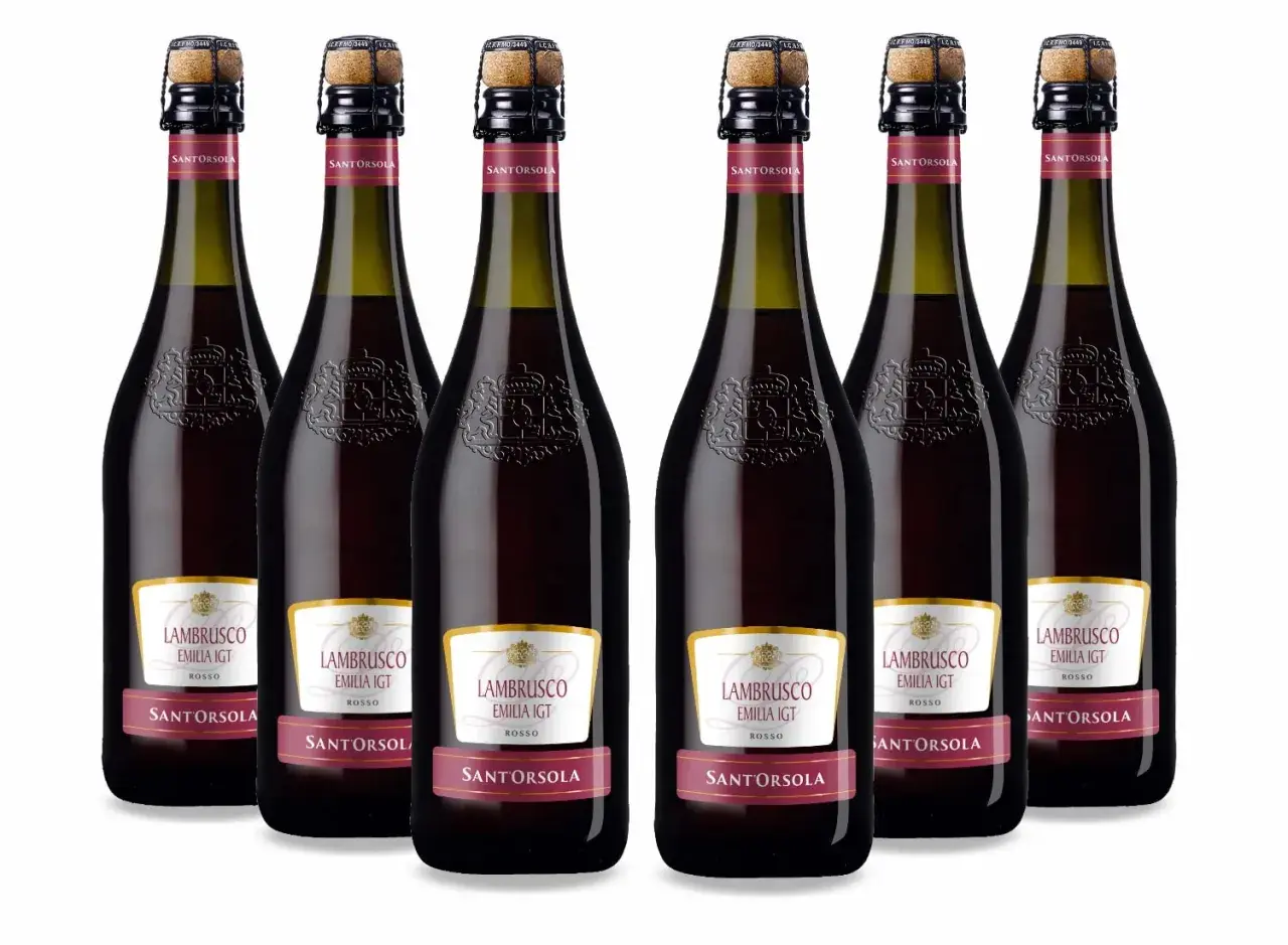 Sei bottiglie di Lambrusco Santorsola, pronte per essere stappate. Il lambrusco è frizzante, perfetto per ogni occasione.